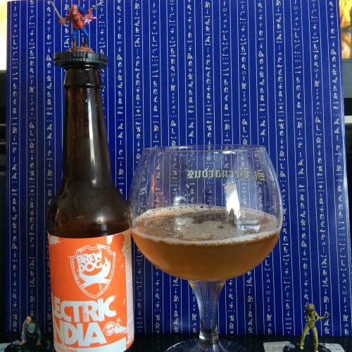 BrewDog - Electric India